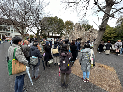 サンプルイメージ